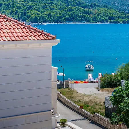 Zen Bay Sun - *